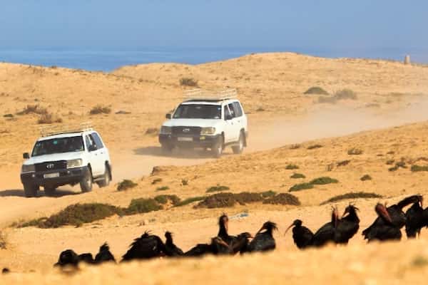 Small desert day trip from Agadir with camel ride