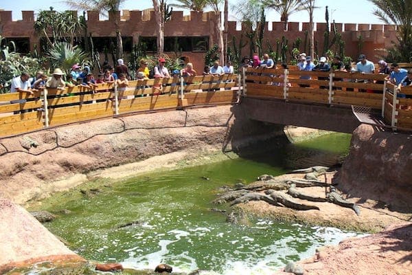 Agadir city tour & Crocoparc tour & Cable car ride