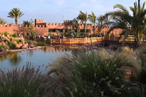 Sous Massa National park and Crocoparc tour from Agadir