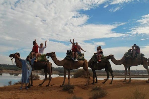Agadir Camel ride tour