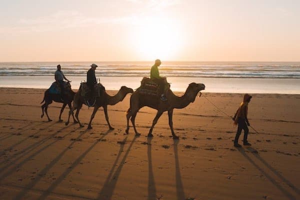 Sunset camel ride from Agadir